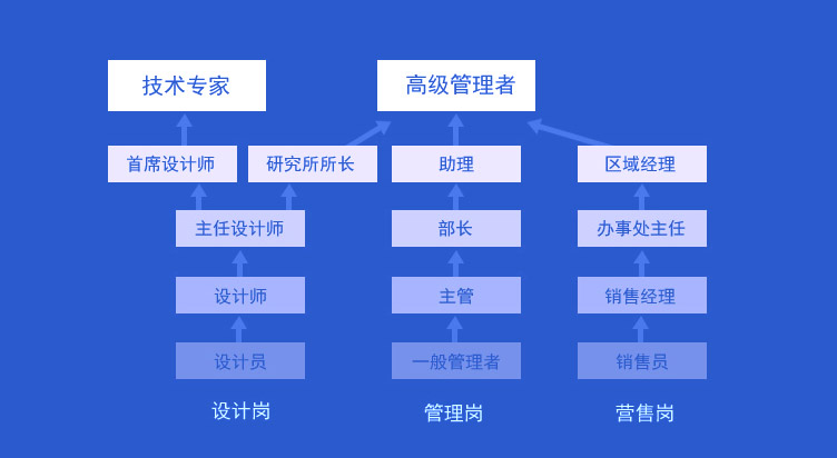 多条职业生长通道